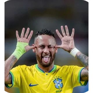 ✋ emoji HIMANSHU PACK | @ronaldofamn Telegram sticker 16 of 18