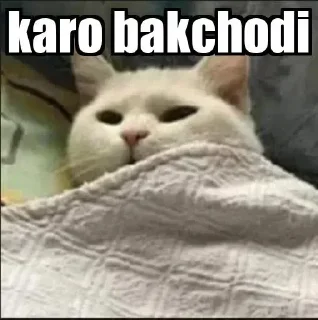 😂 emoji -BKACHODI- @TgStcRs Telegram sticker 15 of 78