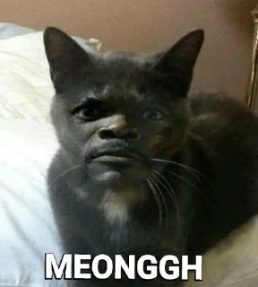 😺 emoji 𝙎𝙩𝙞𝙠𝙚𝙧𝘽𝙝𝙡𝙪𝙡☞ @CallMeLul Telegram sticker 13 of 14