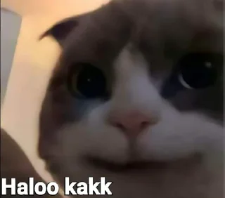 👋 emoji 𝙎𝙩𝙞𝙠𝙚𝙧𝘽𝙝𝙡𝙪𝙡☞ @CallMeLul Telegram sticker 7 of 14