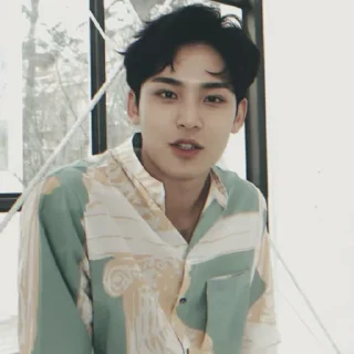 Sticker from MINGYU ┼╌ׄ @PARTNERMU