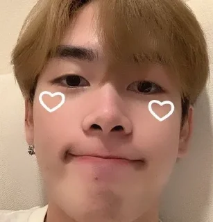 🦁 emoji santa pongsapak Telegram sticker 10 of 17