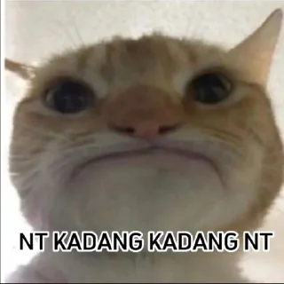 🙁 emoji punya abin ganteng Telegram sticker 21 of 44