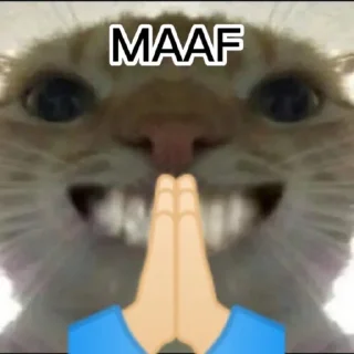 🙏 emoji punya abin ganteng Telegram sticker 20 of 44