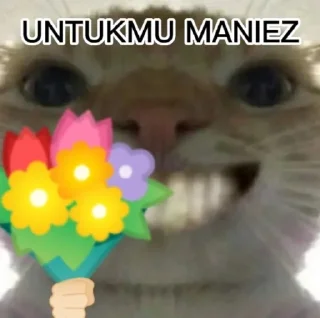 💐 emoji punya abin ganteng Telegram sticker 13 of 44