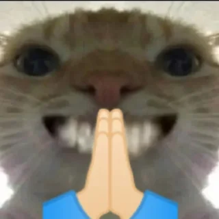 🙏 emoji punya abin ganteng Telegram sticker 9 of 44