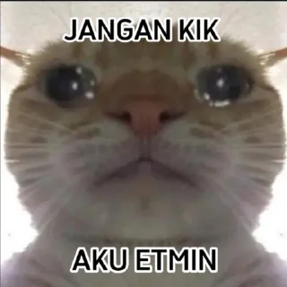 🥺 emoji punya abin ganteng Telegram sticker 17 of 44