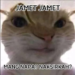 😯 emoji punya abin ganteng Telegram sticker 16 of 44