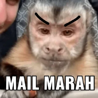 🐶 emoji jea, mail pride Telegram sticker 19 of 25