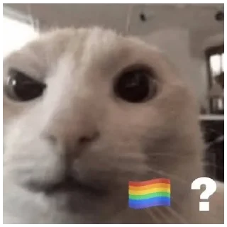 🏳️‍🌈 emoji 🏳️‍🌈 Telegram sticker 15 of 52