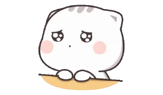 🌟 emoji cutie cat-chan Telegram sticker 19 of 50