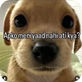 🐶 emoji Ankur • @sticbot Telegram sticker 17 of 120