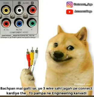 🤓 emoji Doge Memes - @Legend_Ns Telegram sticker 17 of 39
