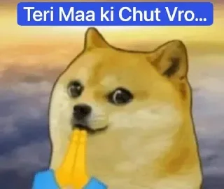 🥵 emoji Doge Memes - @Legend_Ns Telegram sticker 23 of 39