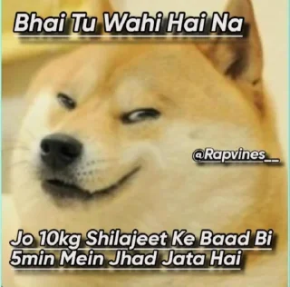 😑 emoji Doge Memes - @Legend_Ns Telegram sticker 11 of 39