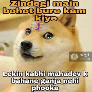 😬 emoji Doge Memes - @Legend_Ns Telegram sticker 12 of 39