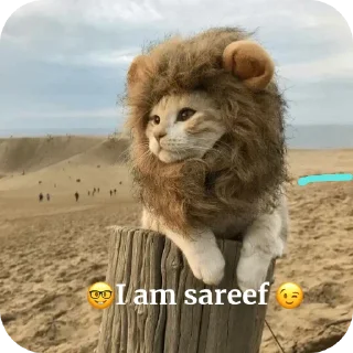 🌟 emoji @Himanshu_thakur_ji Telegram sticker 9 of 120