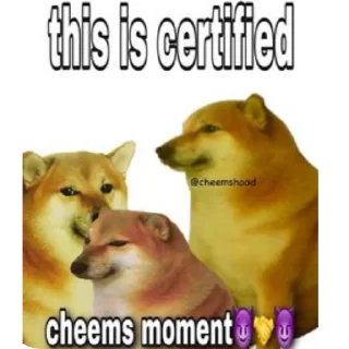 🐶 emoji @Himanshu_thakur_ji Telegram sticker 24 of 120