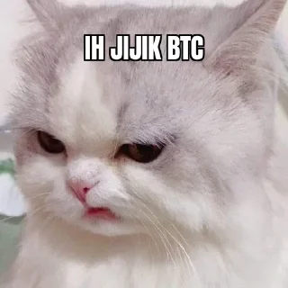 🤨 emoji Oke Telegram sticker 19 of 34