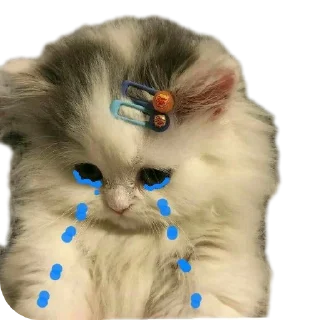 🐱 emoji Meme Pack Telegram sticker 5 of 30