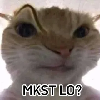 🤨 emoji punya abin ganteng Telegram sticker 12 of 44