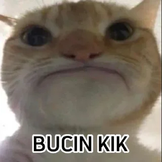🙁 emoji punya abin ganteng Telegram sticker 18 of 44