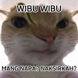 🤨 emoji punya abin ganteng Telegram sticker 5 of 44