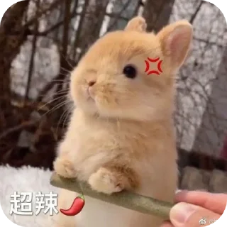 😤 emoji Bunny buns🐰 Telegram sticker 7 of 28