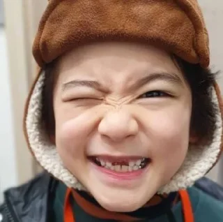 🦊 emoji Lee dam (xinn) Telegram sticker 20 of 69