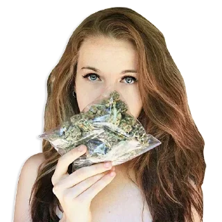 Sticker from 大麻担保交易  @fyezi420