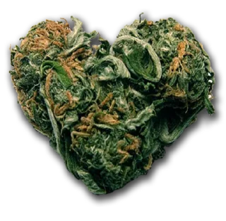 Sticker from 大麻担保交易  @fyezi420
