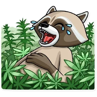 😃 emoji 大麻担保交易  @fyezi420 Telegram sticker 13 of 87