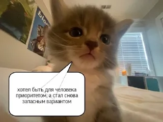 🌟 emoji и чья это вина Telegram sticker 17 of 69