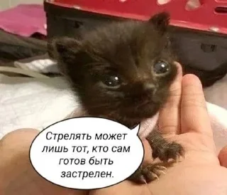 🌟 emoji и чья это вина Telegram sticker 10 of 69