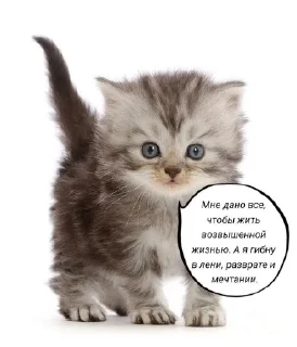🌟 emoji и чья это вина Telegram sticker 6 of 69