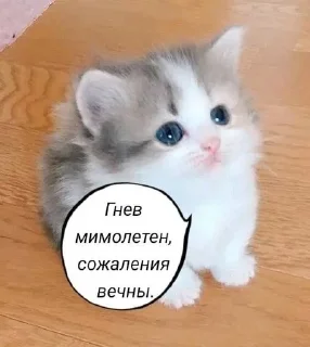 🌟 emoji и чья это вина Telegram sticker 7 of 69