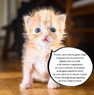 🌟 emoji и чья это вина Telegram sticker 9 of 69
