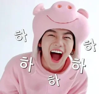 🐷 emoji coco Telegram sticker 6 of 120