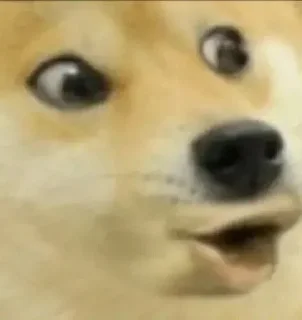 Sticker from Memes