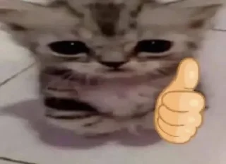 🦾 emoji just @kastubamani be a nuts Telegram sticker 6 of 45