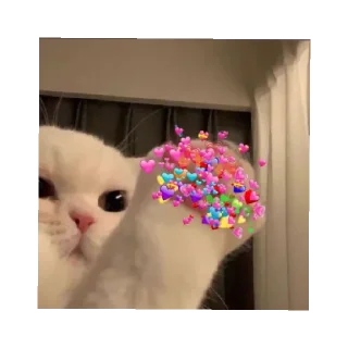 🥰 emoji asya asya asyaaa Telegram sticker 19 of 38