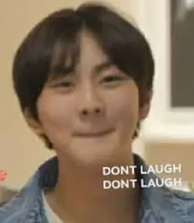 🌟 emoji Kpop Idols Hate You Telegram sticker 8 of 9