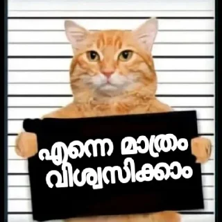 😇 emoji Kitty cute Telegram sticker 8 of 72
