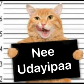 😂 emoji Kitty cute Telegram sticker 7 of 72