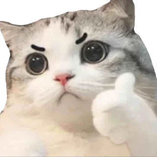 👍 emoji cats Telegram sticker 6 of 30