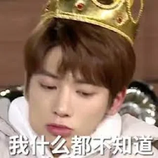 🤷‍♂️ emoji TXT 沙雕表情包 Telegram sticker 8 of 47
