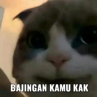 ☝ emoji affh iyh kids Telegram sticker 17 of 31