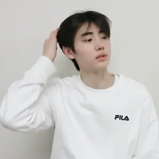 Sticker from ꜆꜄꜆ ⌕ @crybier park sunghoon  ོ