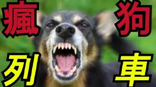 🐶 emoji Superfluid Telegram sticker 24 of 120