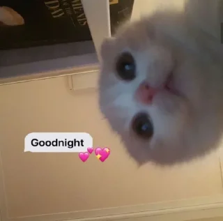 🌃 emoji buatan paju Telegram sticker 8 of 18